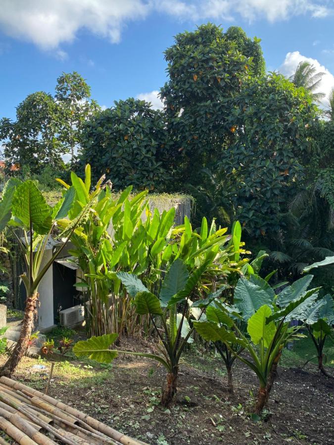 The Civyt Hotel Ubud  Bagian luar foto